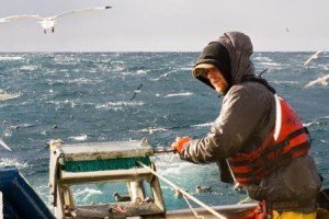 Commercial Fishing