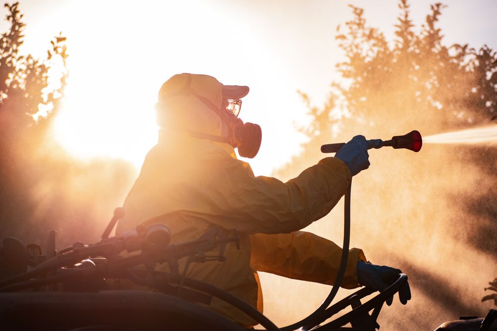 Man spraying pesticide in growing agricultural plantation.