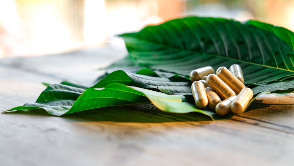 closeup view of kratom capsules laying on kratom mitragyna speciosa leaves